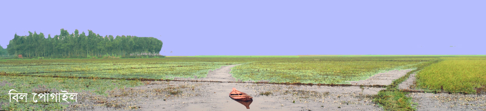 পোগাইল বিল