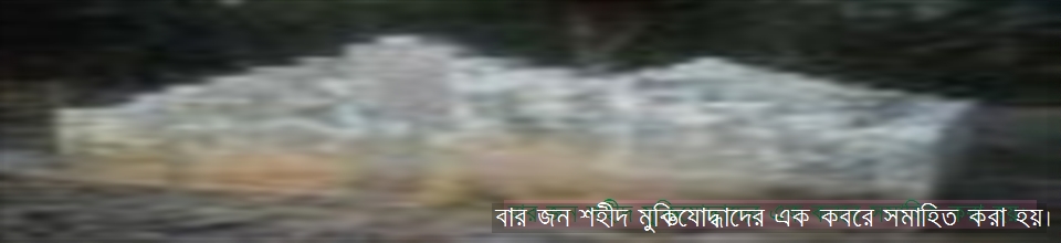 বার জন শহীদ মুক্তিযোদ্ধাদের এক কবরে সমাহিত করা হয়।