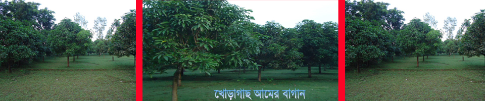 সংস্কৃতি