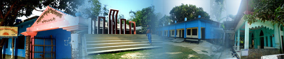 স্কুল, শহীদ মিনার, মন্দির, স্কুল গেট