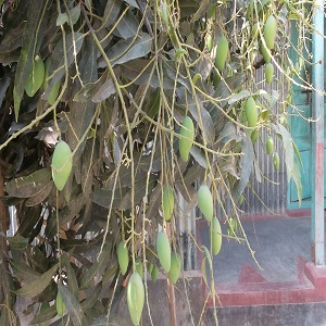 খুকনী ইউনিয়নের ফটোগ্যালারী