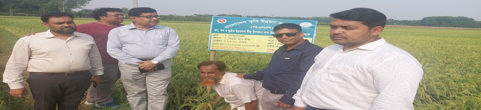 বীজের মান নিয়ন্ত্রণকারী ট্যাগ