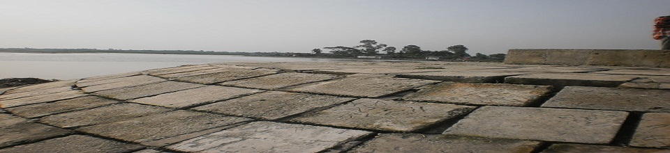 ব্যানার