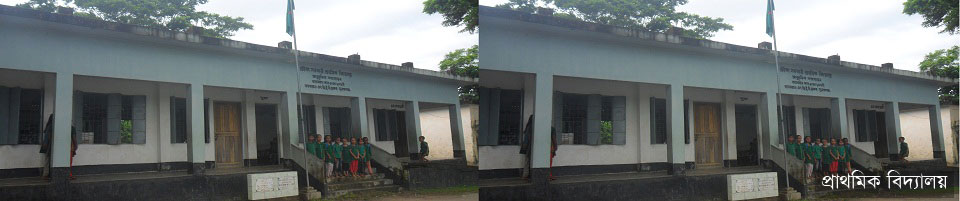 প্রাথমিক বিদ্যালয়