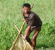 বিবিধ