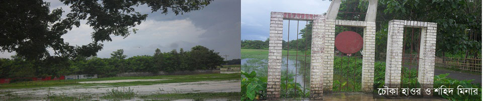 চৌকা হাওর ও শহিদ মিনার