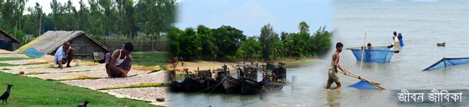 জীবন জীবিকা