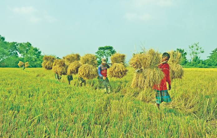 কৃষিতে কিশোরগাড়ী