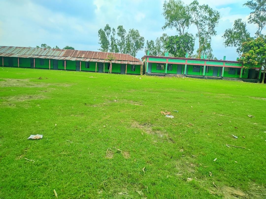 কলেজ