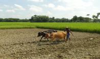 ভূমি অফিস