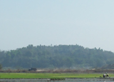 কৃষি ও প্রাণী সম্পদ