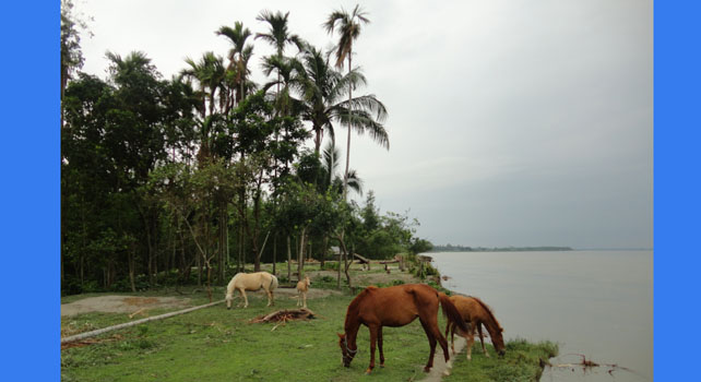 ফটো গ্যালারী