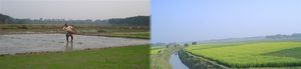 কৃষি ও নদী