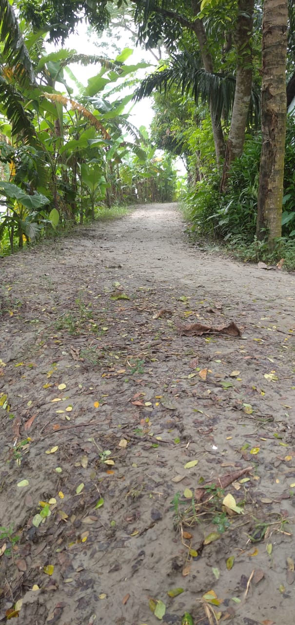 02নং ওয়ার্ড সুলতান মোল্যার বাড়ি হইতে বাদশা গাইনের বাড়ি হইয়া হোসেন ছৈয়ালের বাড়ি পর্যন্ত রাস্তা নির্মান ও পুনঃ নির্মান। অর্থ বছর 2022-2023( হতদরিদ্রদের জন্য কর্মসংস্থান ও কর্মসূচী -ইজিপিপি ২য় পর্যায়ের প্রকল্প)