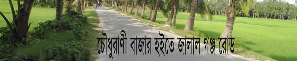 চৌধুরাণী বাজার হইতে জালালগঞ্জ রোড