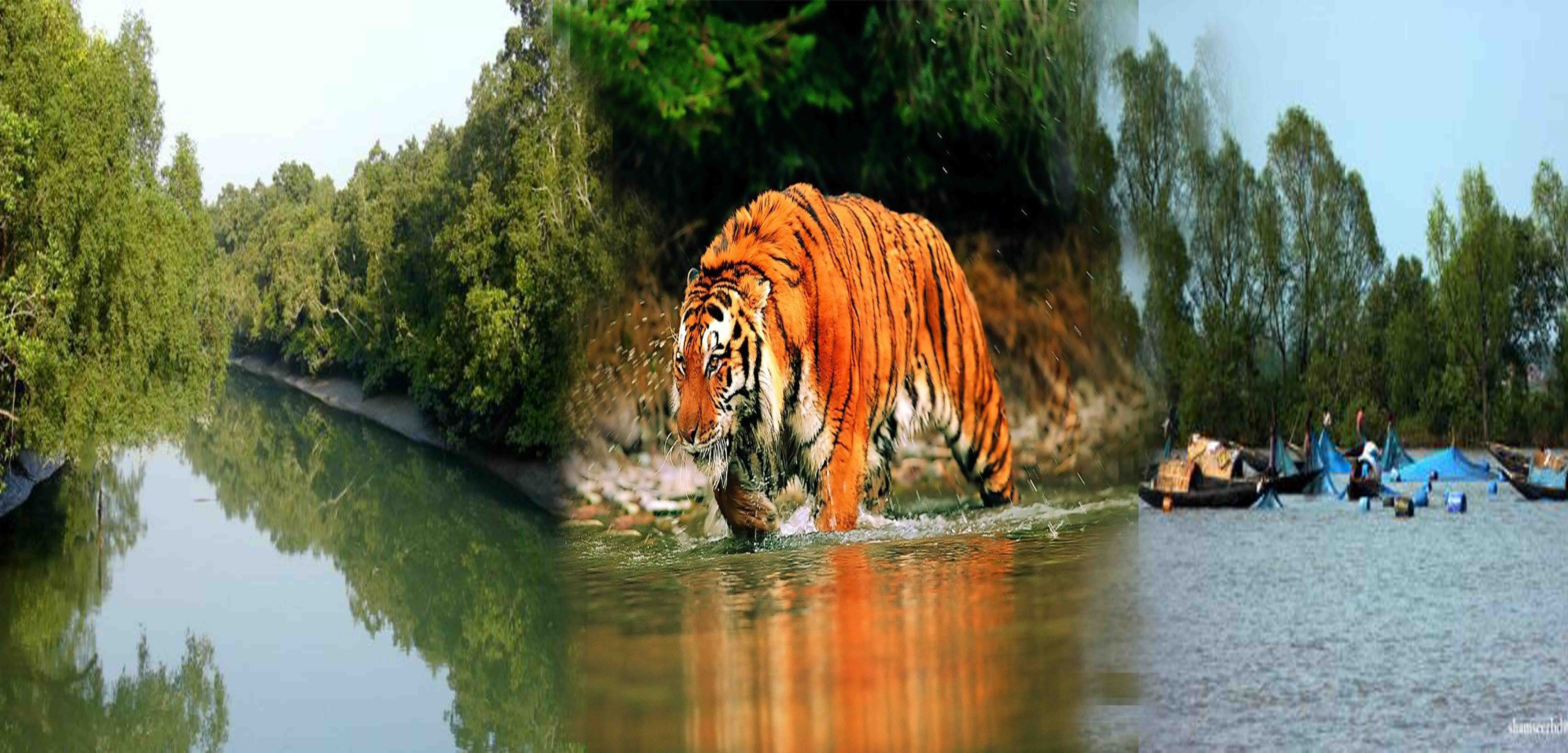 ০৪নং কৈলাশগঙ্জ ইউনিয়ন পরিষদ