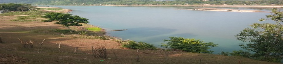 বাশেঁর সেতু