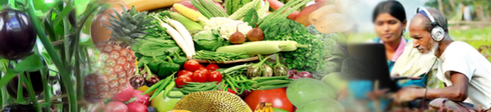 কপোতাক্ষ নদ