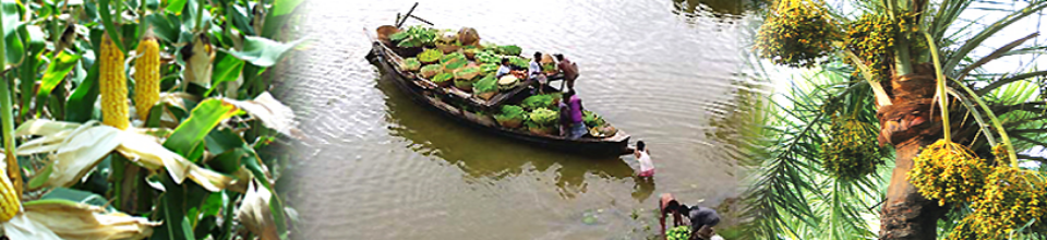 রায় সাহেব বিনোদ বিহার সাধু ও পিসি রায়