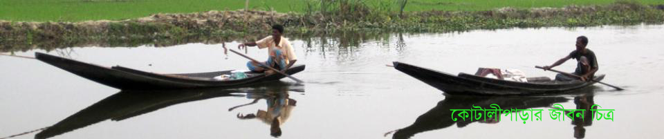 কোটালিপাড়ার জীবন চিত্র