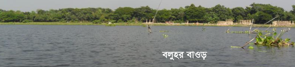 বলুহর বাওড়