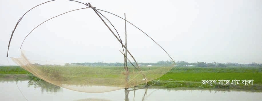 অপরুপ সৌন্দর্যে কাওয়াকোলা ইউনিয়ন