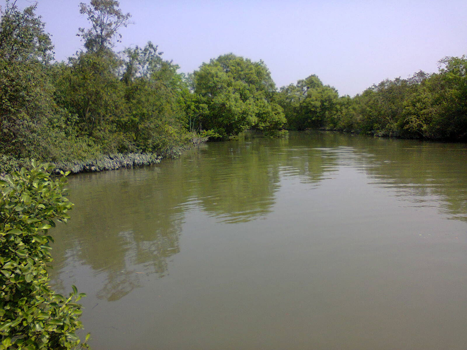 সুন্দরবন