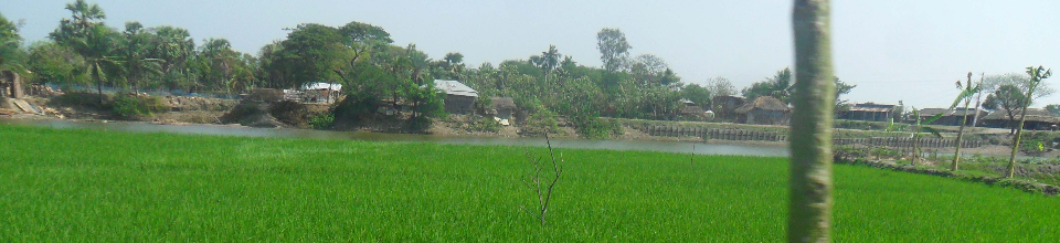 কৃষিতে অগ্রগামী কয়রা ইউনিয়ন