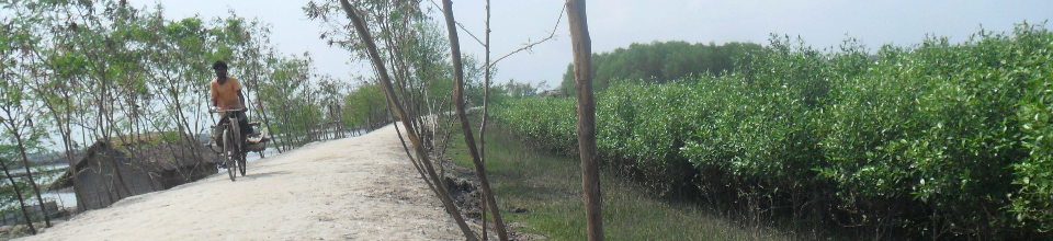 কয়রা ইউনিয়ন জঙ্গল ঘেরা পথ