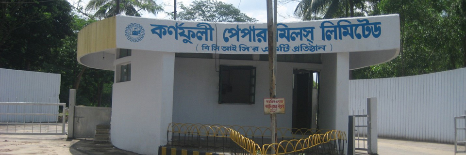 কেপিএম লিঃ