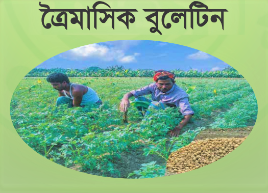 Quarterly Bulletin 