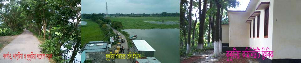 ঝাপুটিয়া ও কুকুটিয়া বাজারের রাস্তা, কুকুটিয়া বাজার বেবি স্টান্ড, ইউনিয়ন স্বাস্থ্য কমপ্লেক্স