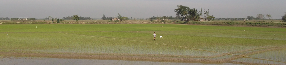 ৯ নং কুলঞ্জ,এর হাওর