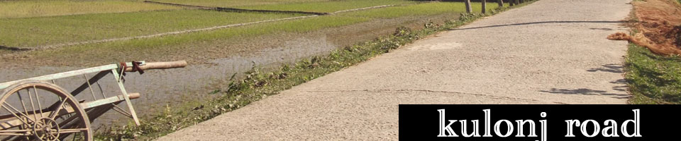 ৯ নং কুলঞ্জ,