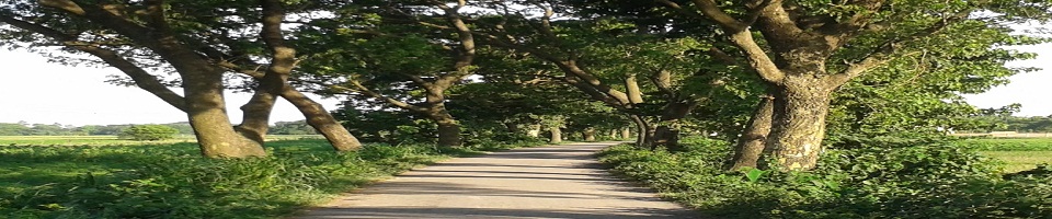 মনমুগ্ধকর