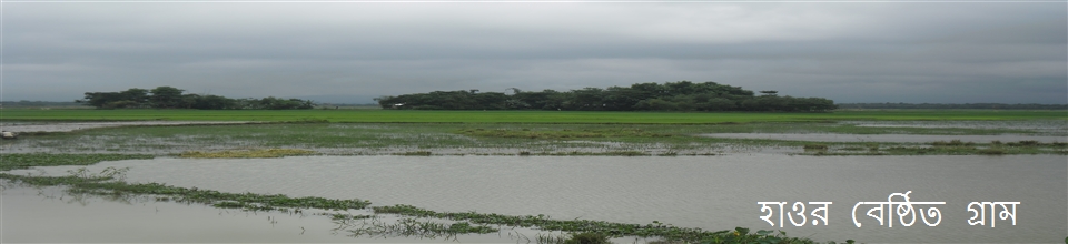 হাওর বেষ্ঠিত গ্রাম