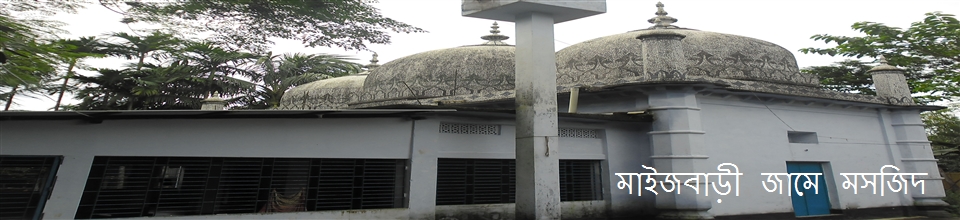 মাইজবাড়ী জামে মসজিদ