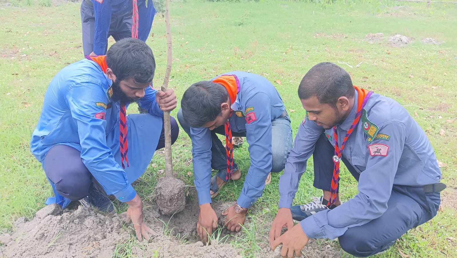 বৃক্ষ রোপন