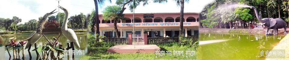 কুড়িগ্রাম সদর উপজেলা।