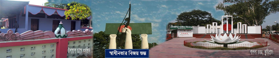 উপজেলা জামে মসজিদ, বিজয় স্তম্ভ ও শাপলা চত্ত্বর- শহীদ মীনার