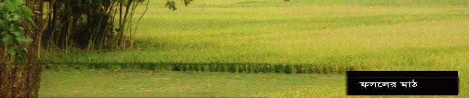 কুর্শা ইউনিয়ন