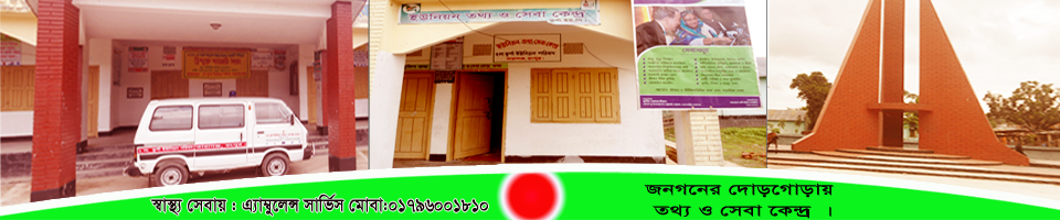 ২নং কুর্শা ইউপির সেবা কার্যক্রম