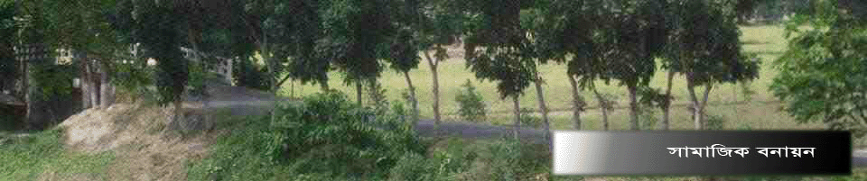 বৃক্ষায়ন