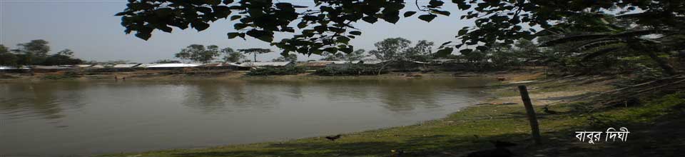 বাবুর দিঘী