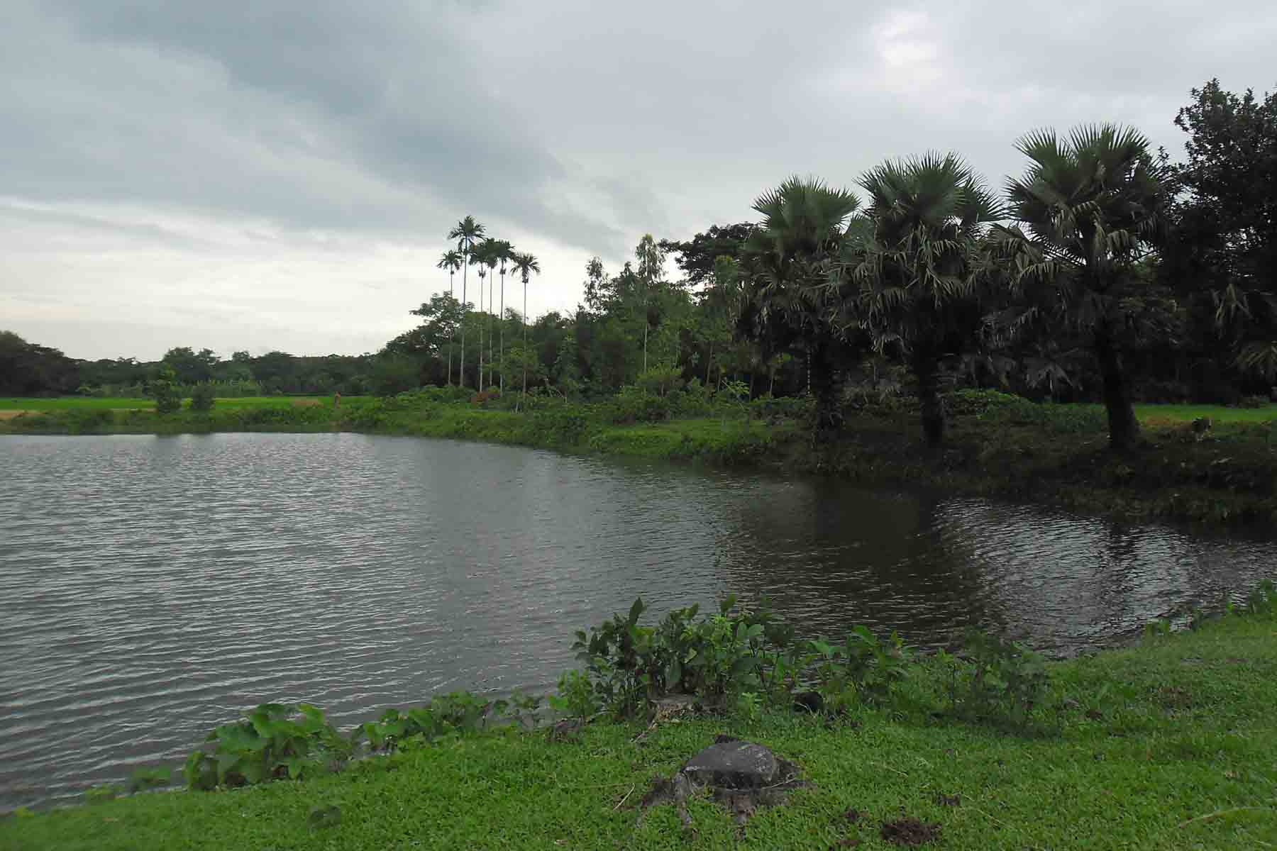 সুফলা দিঘী