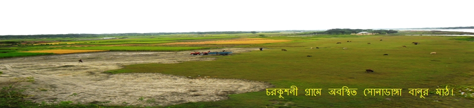 চরকুশলী গ্রামে অবস্থিত সোনাডাঙ্গার বালুর চর।