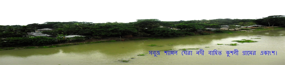 সবুজ ছায়া ঘেরা নদী বাহিত কুশলী ইউনিয়নের কুশলী গ্রামের একটি অংশ।