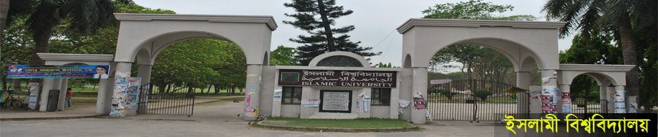 ইসলামী বিশ্ববিদ্যালয়