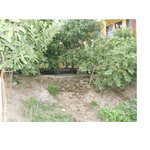 ভুমি অফিস