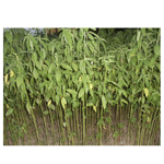 কৃষি ও প্রাণিসম্পদ